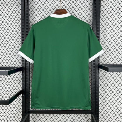 Palmeiras Hemma 25/26