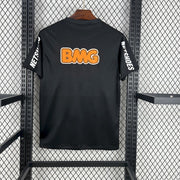 Santos 2012/13 Tredje
