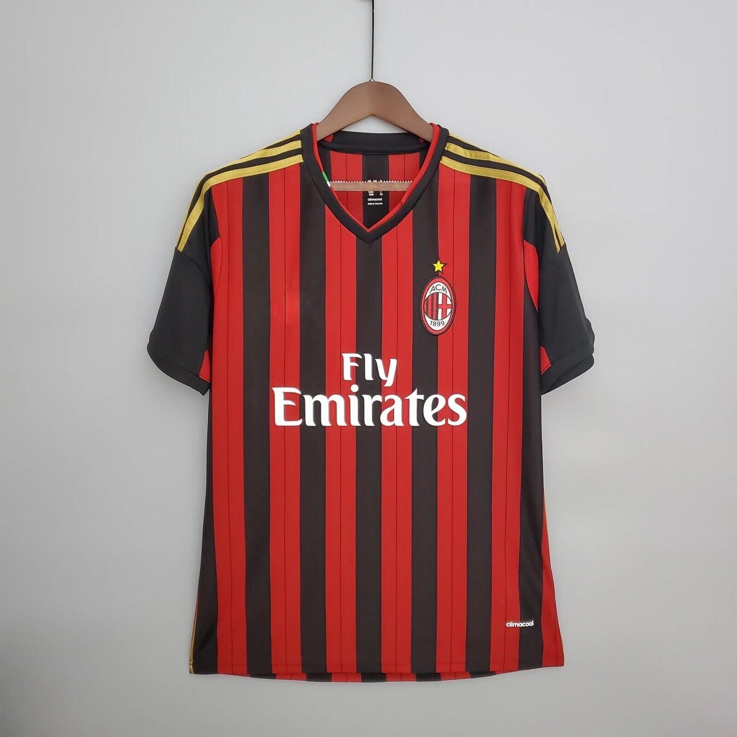 AC Milan Hemma 2013/14